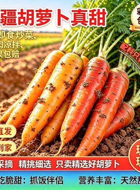 新鲜蔬菜胡萝卜双拼装现挖现发