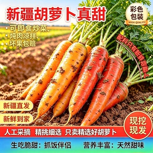 新疆手抓饭黄萝卜新鲜蔬菜胡萝卜双拼装生吃榨汁5斤现挖现发包邮