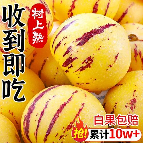 云南石林人参果新鲜水果当季整箱