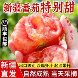 新疆普罗旺斯西红柿沙瓤新鲜自然熟应季水果番茄生吃5斤顺丰包邮