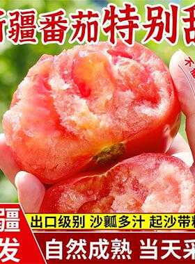 新疆普罗旺斯西红柿沙瓤新鲜自然熟应季水果番茄生吃5斤顺丰包邮