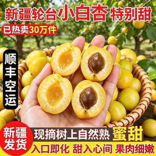 新疆小白杏子新鲜水果应当季轮台库车白杏子甜杏胜小红杏空运包邮