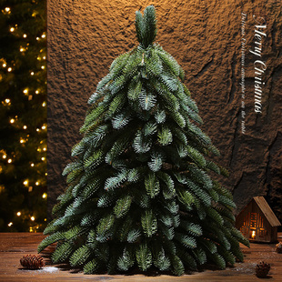 【工厂】纯PE仿真诺贝松圣诞树30/45/60cm小型摆件圣诞节装饰品