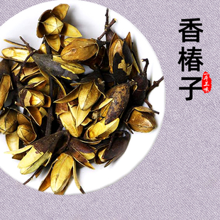 香椿子50克中药材香椿树果籽花子香椿铃子椿树果种子椿芽树花春尖