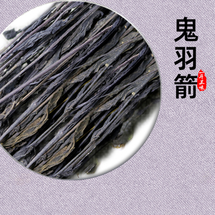 新货鬼羽箭50克中药材正品黑草羽箭黑骨草幼克草黑马草忌箭草卫矛