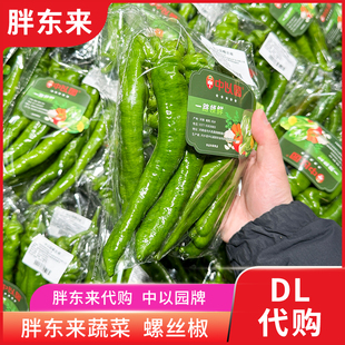 胖东来蔬菜 螺丝椒新鲜辣椒 皱皮辣椒青椒 安心蔬菜正品代购