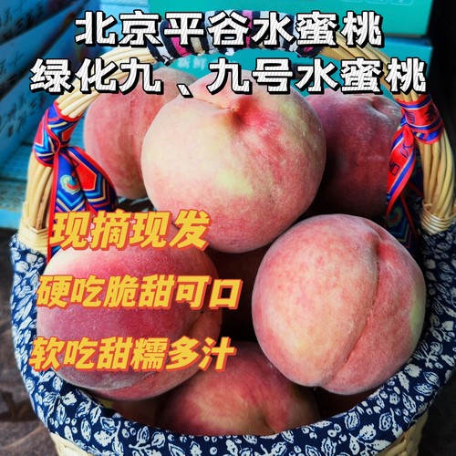 平谷大桃平谷桃子水蜜桃产地直发