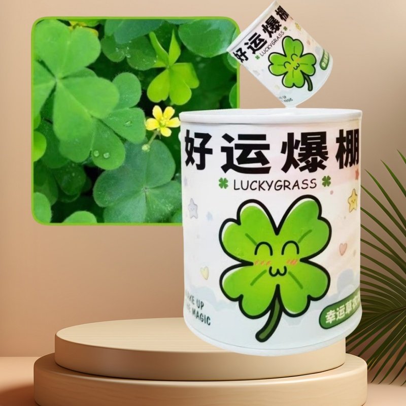 小学生奖励小礼品全班创意DIY盆栽幼儿园儿童生日分享六一小礼物,节庆用品/礼品,创意礼盒/礼品套组,淘宝优惠券,粉丝福利购,淘宝优惠卷