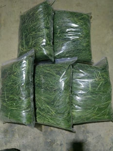 烘干提摩西甘肃北提草场直发南提兔子龙猫荷兰猪牧草零食五斤包邮