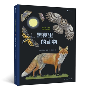 精 黑夜里 动物