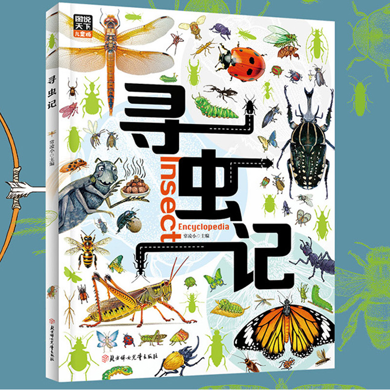 现货 寻虫记 献给孩子们的昆虫探秘科普绘本 图说天下精装版 北方妇女儿童出版社