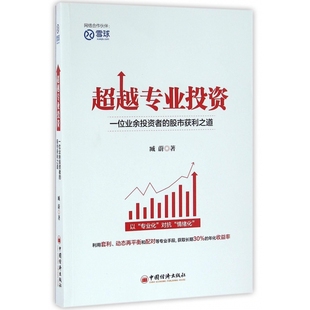 股市获利之道 超越专业投资 一位业余投资者