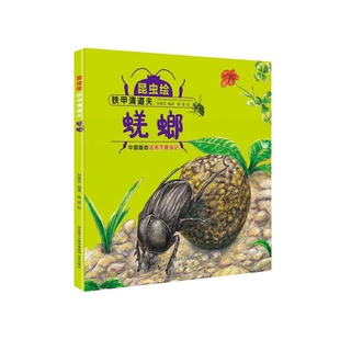 昆虫绘 精 铁甲清道夫 蜣螂