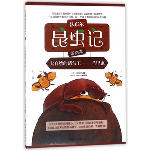 彩绘注音 圣甲虫 法布尔昆虫记彩绘本 清洁工 大自然