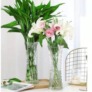 玻璃花瓶透明水养富贵竹百合花瓶摆件客厅插花干花北欧家用特大号
