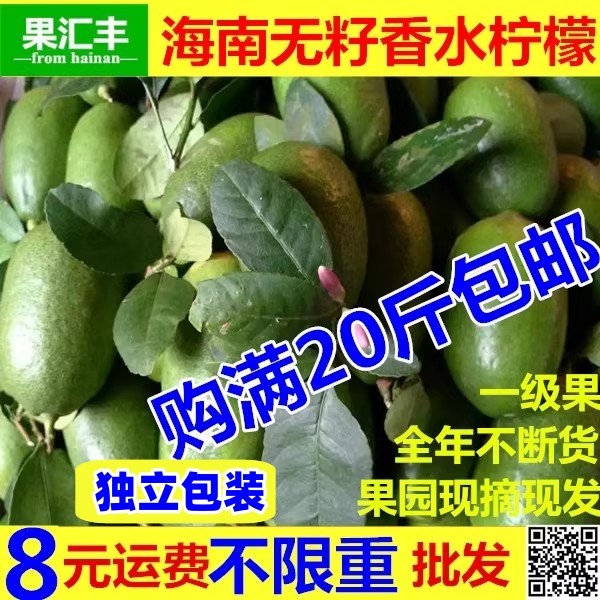 新鲜柠檬海南无籽香水柠檬水果台湾四川青黄柠檬果园现摘1斤