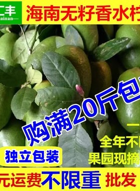 新鲜柠檬海南无籽果园现摘