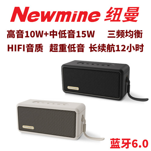 纽曼BT20大功率无线蓝牙6.0便携音箱插U盘插卡TWS无线串联重低音