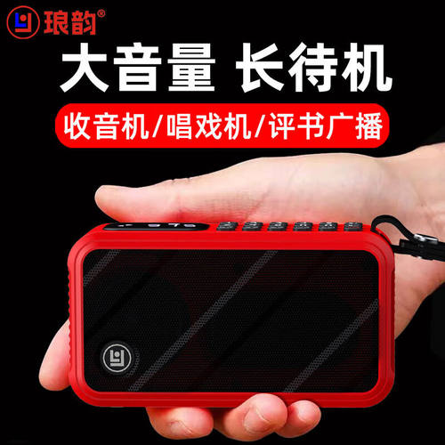 琅韵D81便携无线蓝牙音箱FM收音机录音删除数字点歌可拆卸锂电池