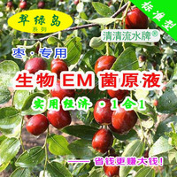 用翠绿岛生物EM菌原液种大栆说长的个大色正品相好产量还高有机肥