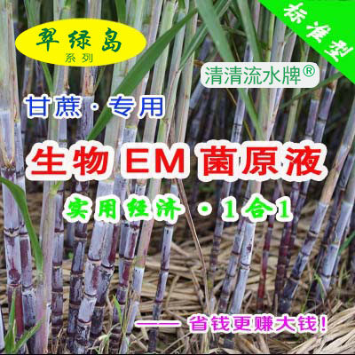 翠绿岛甘蔗种植专用生物EM菌原液能提高产量和品质日本进口有益菌