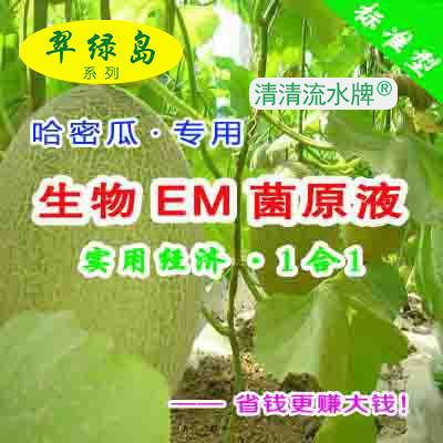 翠绿岛生物EM菌原液种哈密瓜不用化肥种出绿色好产品生物菌原液