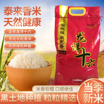 20斤泰来龙洋十六大米正宗东北农家院天然优质长粒香新米10kg