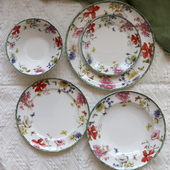 Wild Garden出口英国红花蝴蝶西餐盘分食盘家用菜碟深盘牛排意面