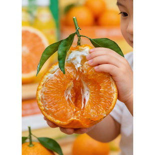 2月上架 大雅耙耙柑 自然熟不打药 容易剥皮多汁化渣基本无籽