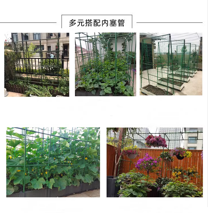 爬藤架葡萄黄瓜豆角架种菜花支架庭院园艺花卉植物支撑杆西红柿架