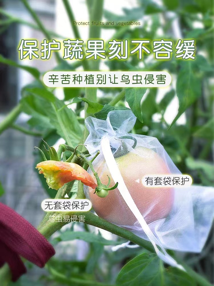 水果套袋防鸟网纱袋瓜果防虫专用袋无花果枇杷葡萄桃子草莓保护袋