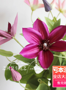 仿真铁线莲莲花摆件婚庆假花