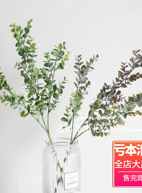 尤加利仿真婚庆金钱草书房插花