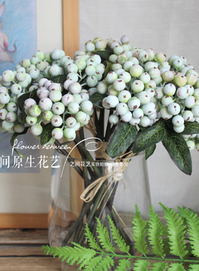 仿真摄影道具软装插花相思豆