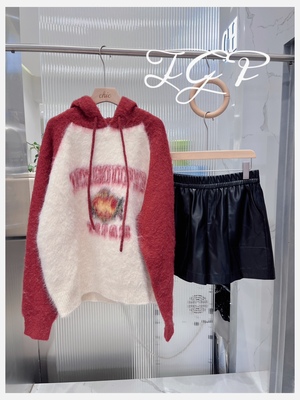 THE GOD PARTICLE 2023胶囊羊毛连帽毛衣撞色织衫宽松休闲上衣