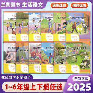 正版 生活语文教师教学识字图卡一二三四五六上下册小学123456下培智学校义务教育实验教科书配套卡片教学工具大小卡片特殊教育