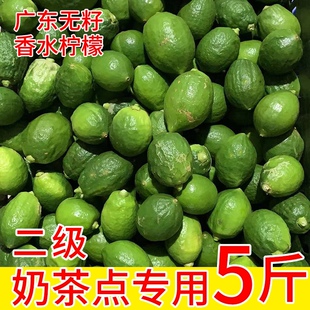 广东香水柠檬新鲜无籽香水柠檬二级果现摘现发奶茶店专用湛江香柠