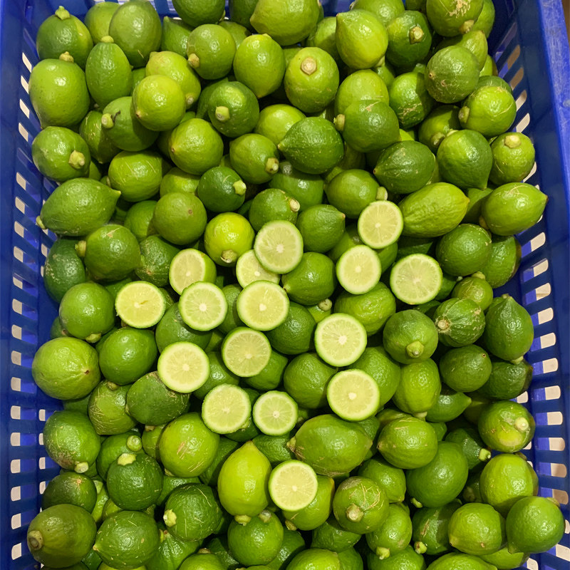 广东无籽香水柠檬特价小果奶茶店专用