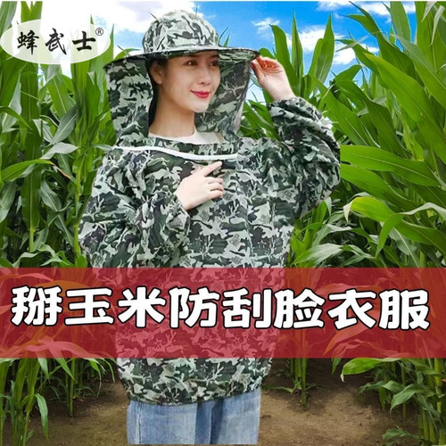 掰玉米防刮脸衣服防蚊虫衣服