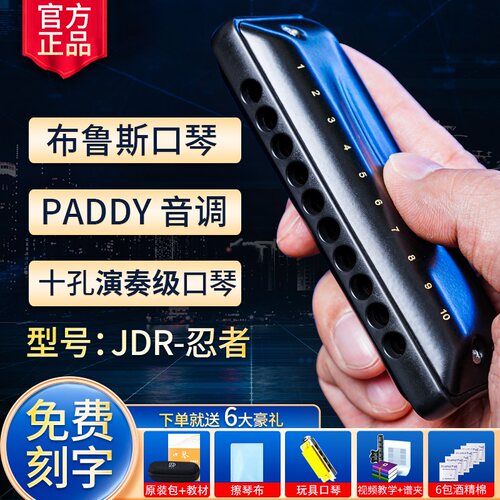 jdr嘉德瑞布鲁斯口琴十孔初学者