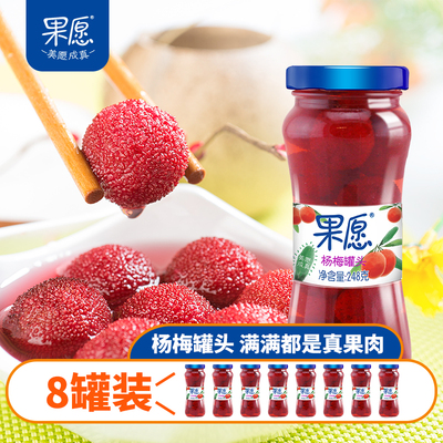 果愿杨梅糖水水果罐头整箱248g*8