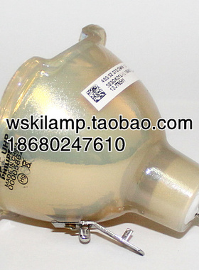 适用理光PJ W2000/PJ W2100/PJ W2500投影机灯泡