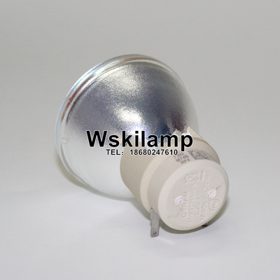 B102H/B103/B103D投影机/仪灯泡