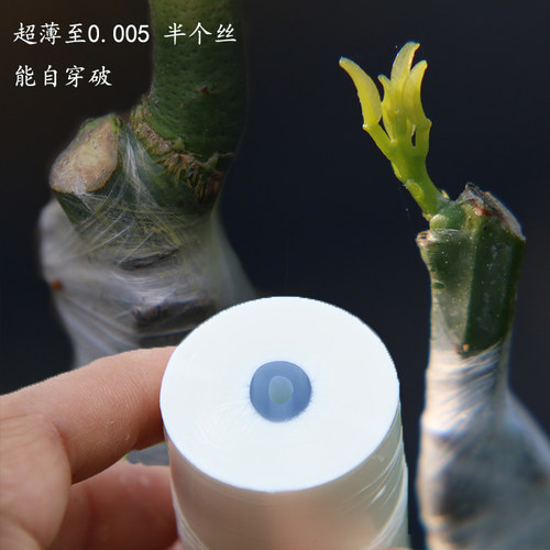 嫁接膜专用膜PE打结薄膜