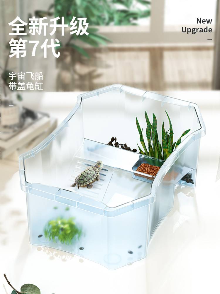 包邮龟刚 带缸龟缸网红小乌龟活龟/鳖