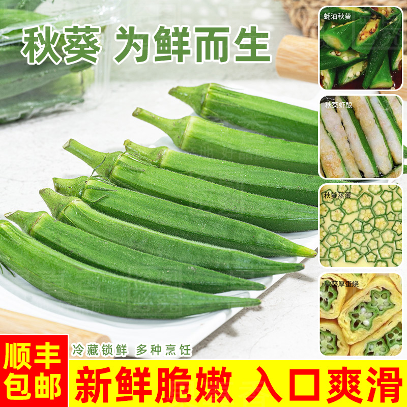 果真香水果秋葵新鲜采摘黄秋葵凉拌鲜嫩炒菜羊角豆当季时令蔬菜
