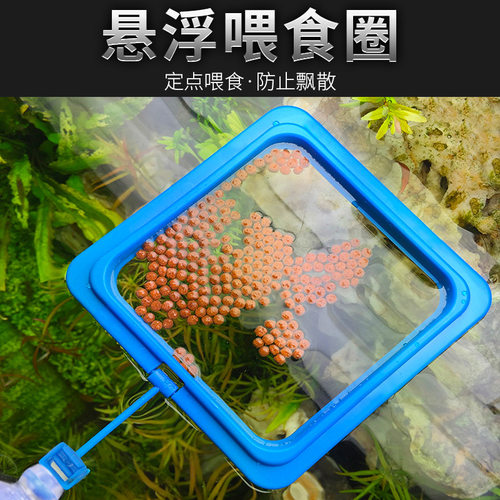 鱼缸自动悬浮漂浮喂食圈投喂器