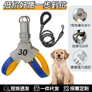 宠物狗狗牵引绳胸背小型犬狗狗胸背狗绳外出专用p绳宠物用品批发