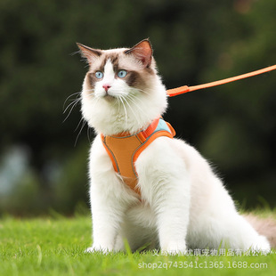 宠物用品新款 猫胸 猫咪牵引绳防脱背心式 反光遛猫绳亚马逊爆款