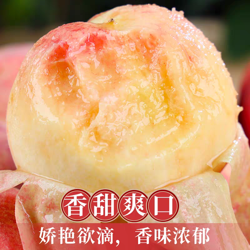 应季现摘水蜜桃新鲜水果软甜多汁露天无公害顺丰（6月8号开园首发